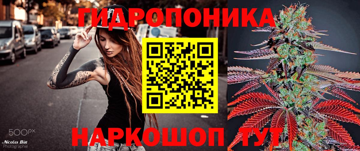 Воткинск  Каннабис OG Kush  Шишки марихуана семена  Бошки марихуана ГИДРОПОН  Вход с VPN 